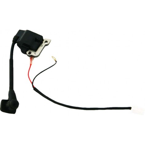 Ozeam 1.3hp outboard motor coil