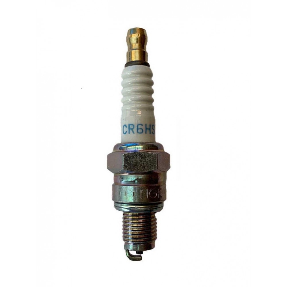 Spark plug for Ozeam 6cv & Ozeam 8cv