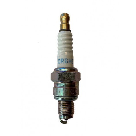 Spark plug for Ozeam 6cv & Ozeam 8cv