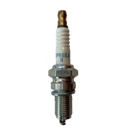 Spark plug for Ozeam 20cv & Ozeam 25cv