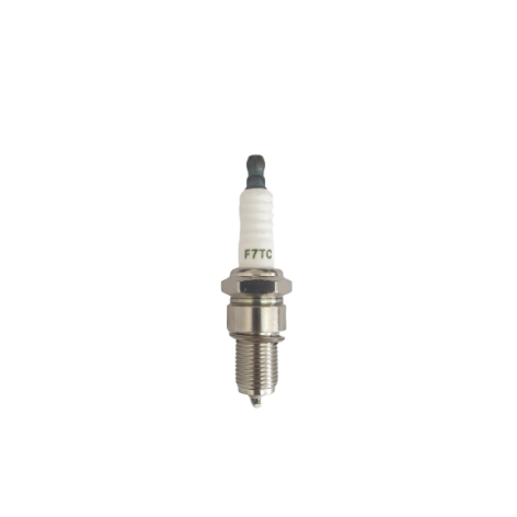 Spark plug for Ozeam 5,5CV