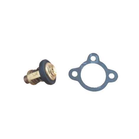 Thermostat and thermostat gasket OZEAM 9.9CV - 12CV