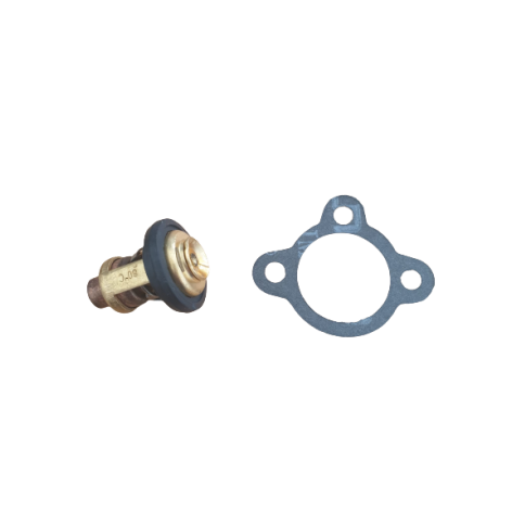 Thermostat et joint de thermostat OZEAM 9.9CV - 12CV