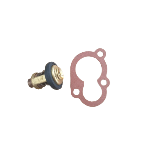 Thermostat et joint de thermostat OZEAM 20CV - 25CV